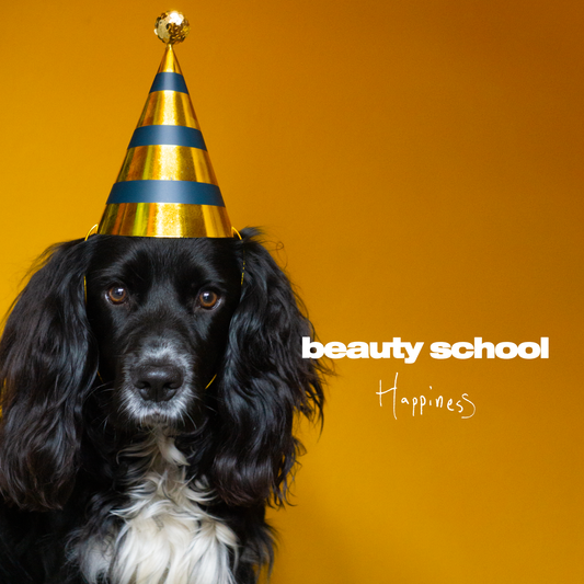 Dog wearing a party hat representing Beauty School Happiness digital product with pawn shop jewels